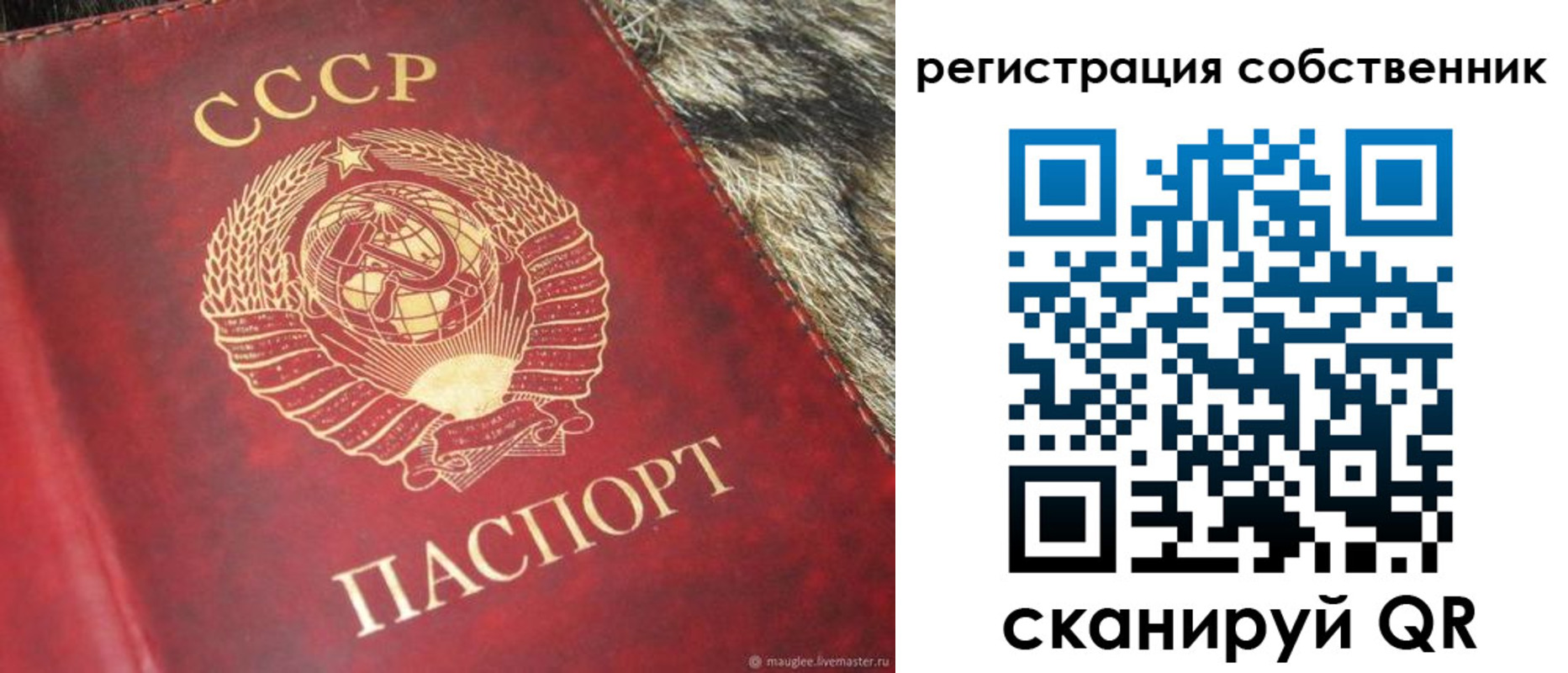 временная регистрация надежно в Зверево